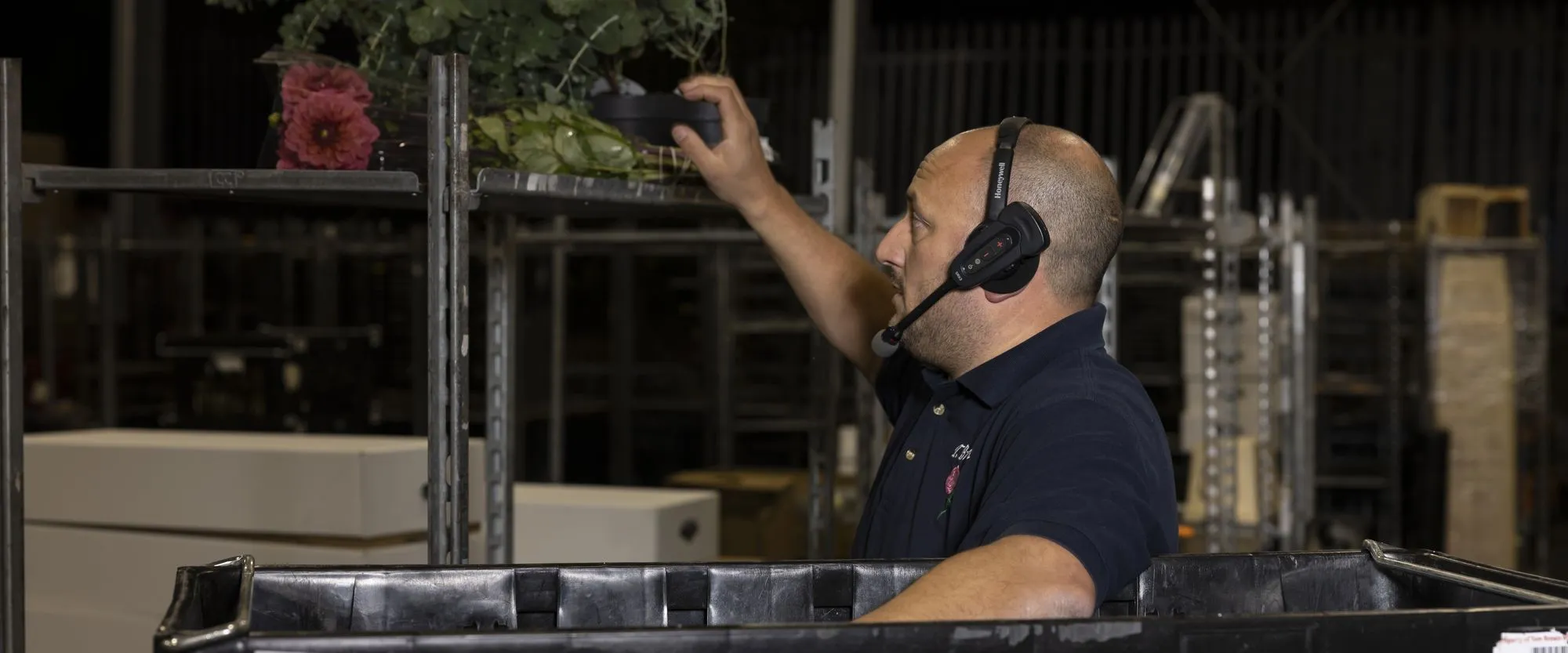 A Tom Brown Wholesale picker wearing a voice headset, reaching for stock during the night shift